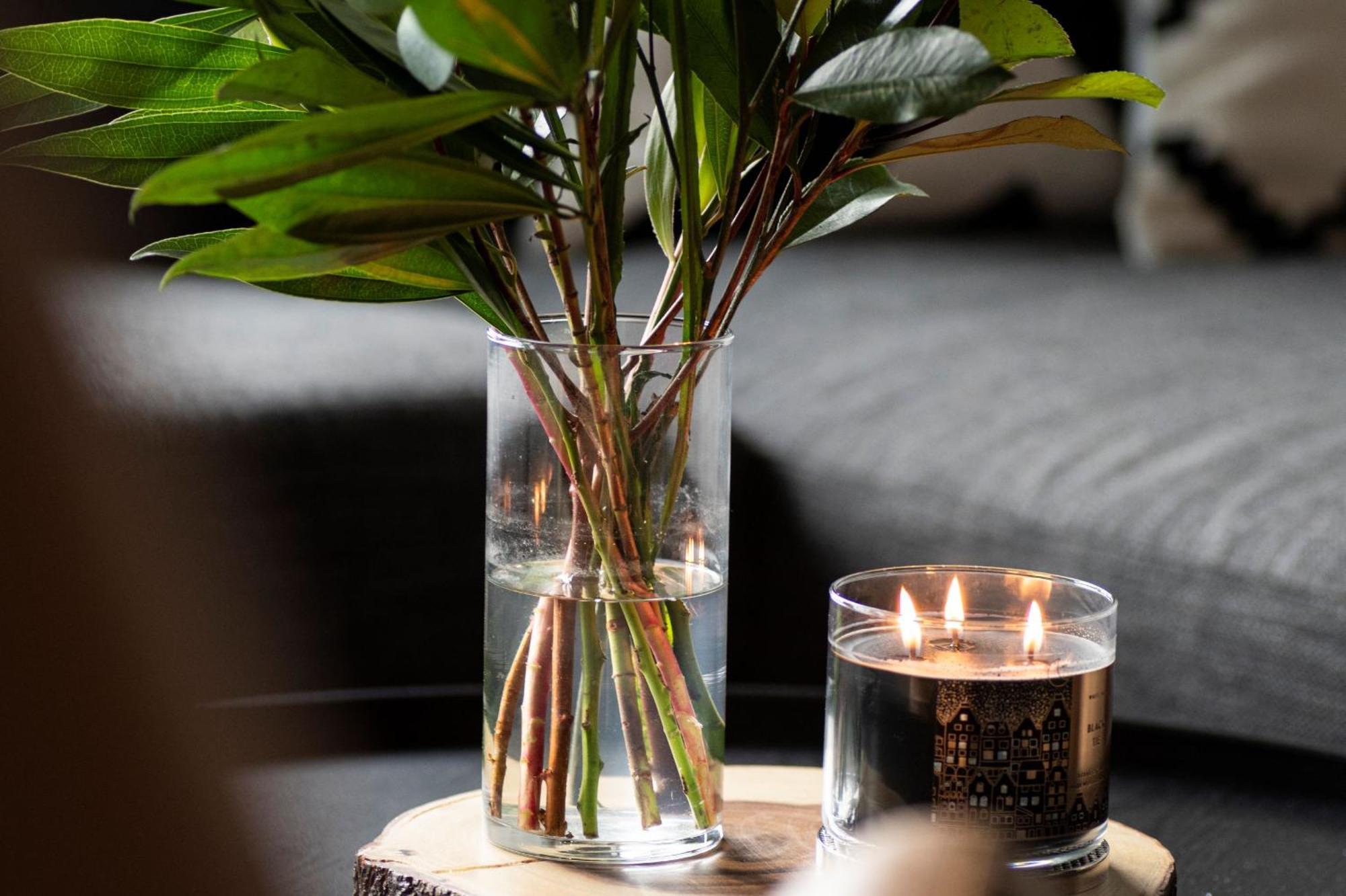 Minnestay Sable 702 - Alcove